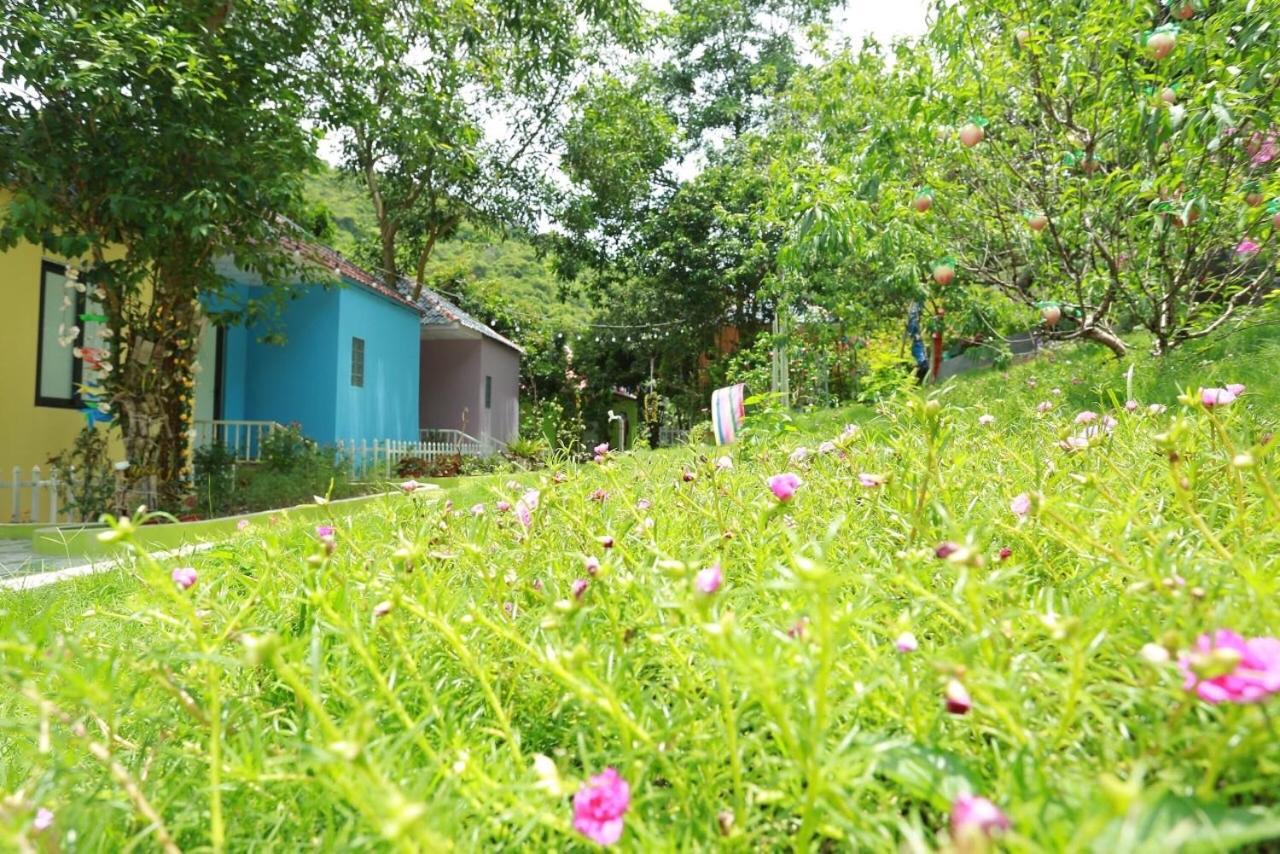 Windy Hill Catba Homestay Hai Phong Bagian luar foto