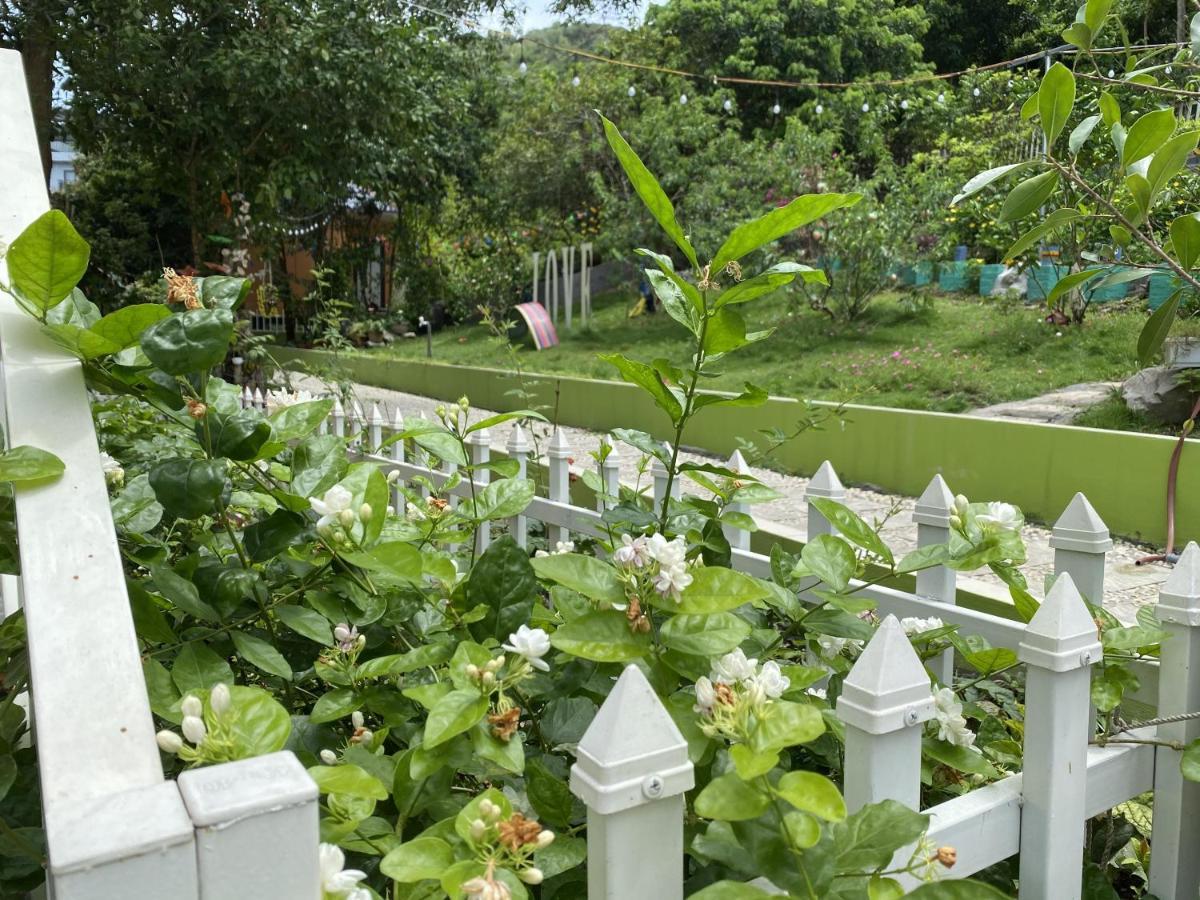 Windy Hill Catba Homestay Hai Phong Bagian luar foto